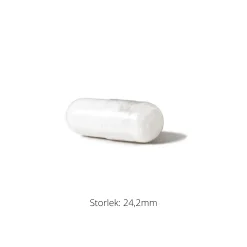 Acetyl-L-Carnitine 500mg 60k