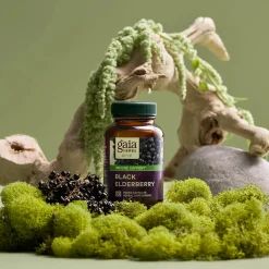 Black Elderberry 60k