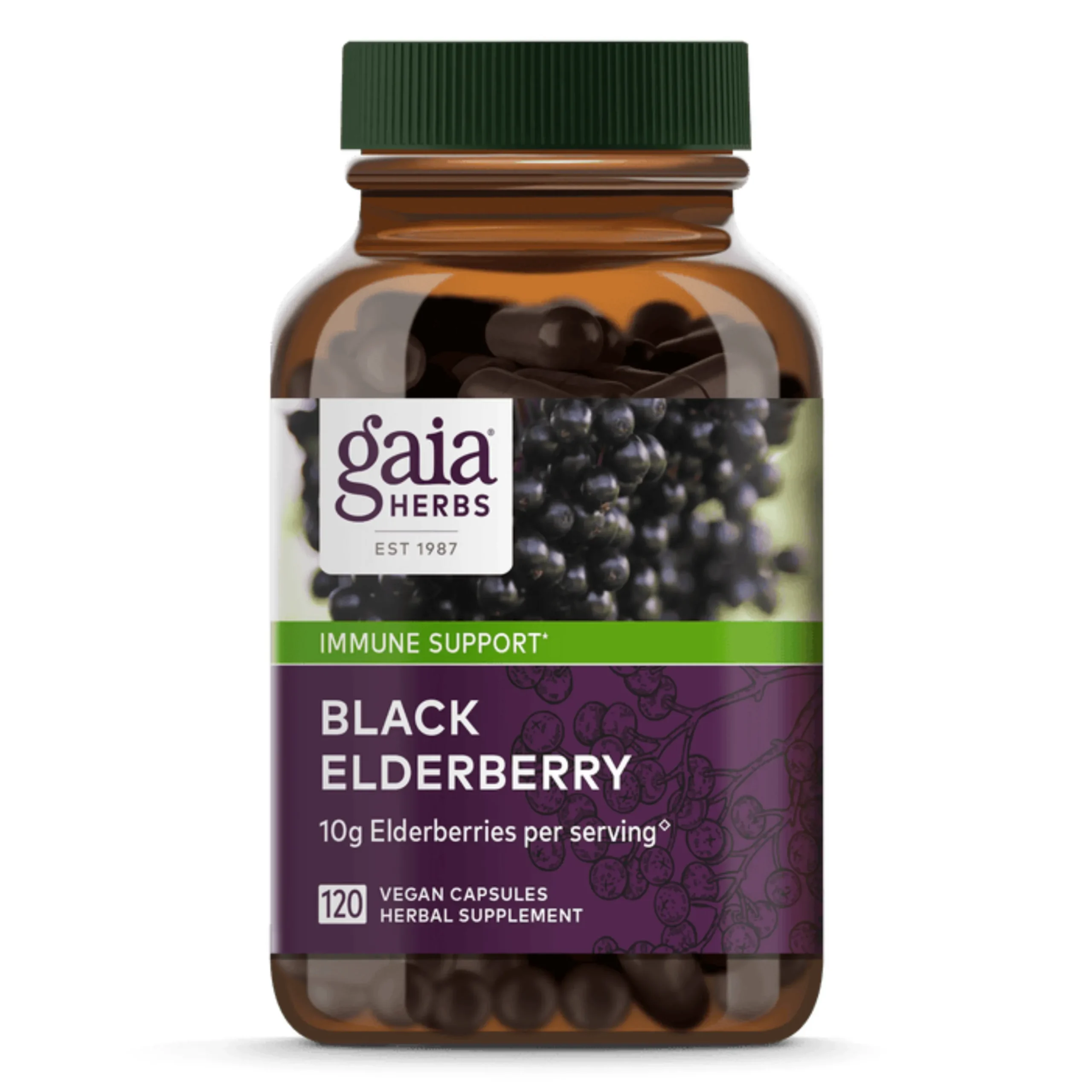 Black Elderberry 60k