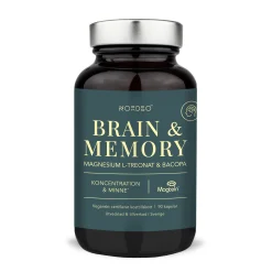 Brain & Memory Magnesium 90k