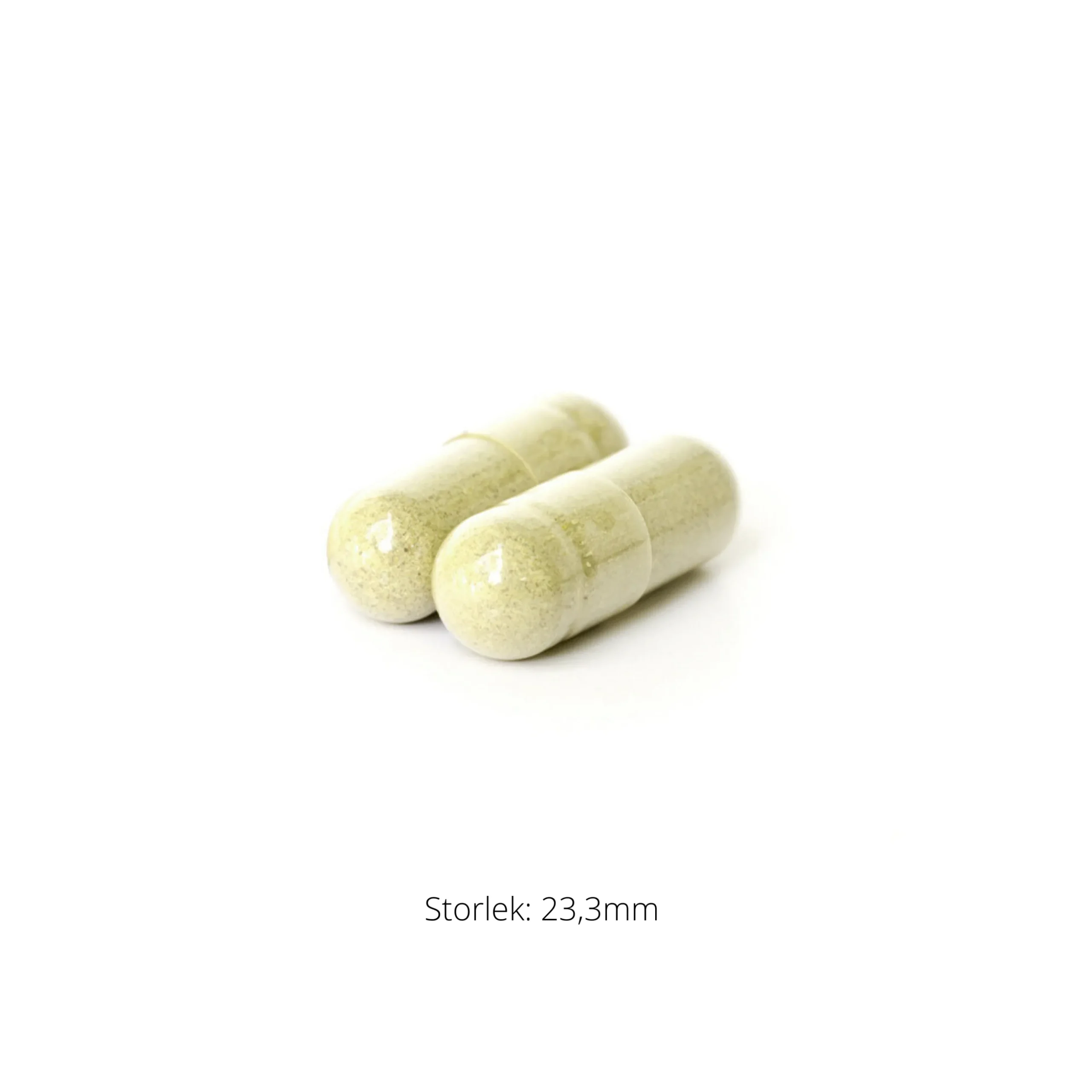 Broccoli Seed Extract 60k