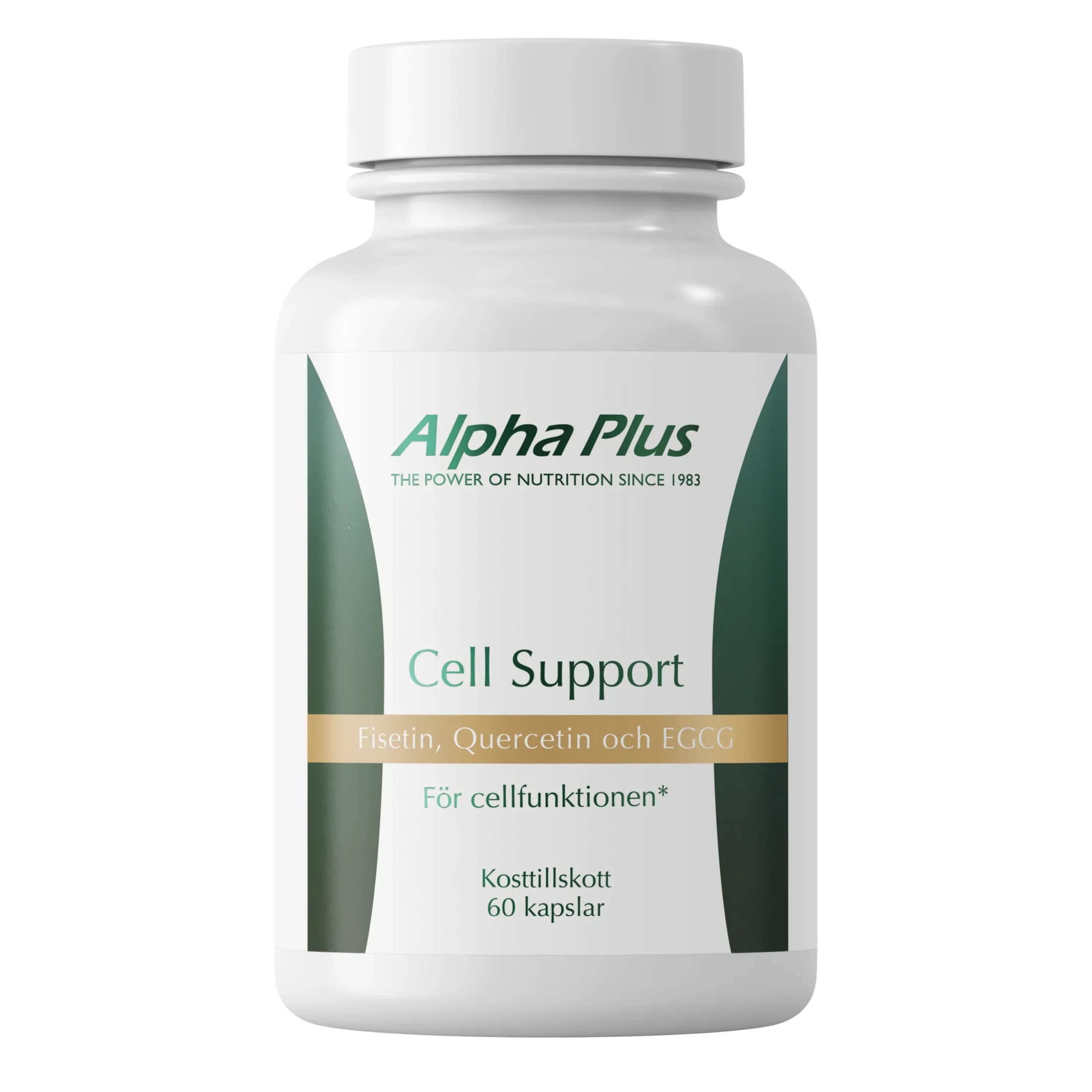 Cell Support 60k