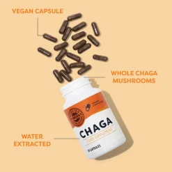 Chaga Capsules 90k