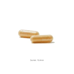 Craving and Stress Support 60k