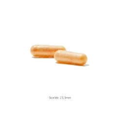 Curcumin Phytosome 60k