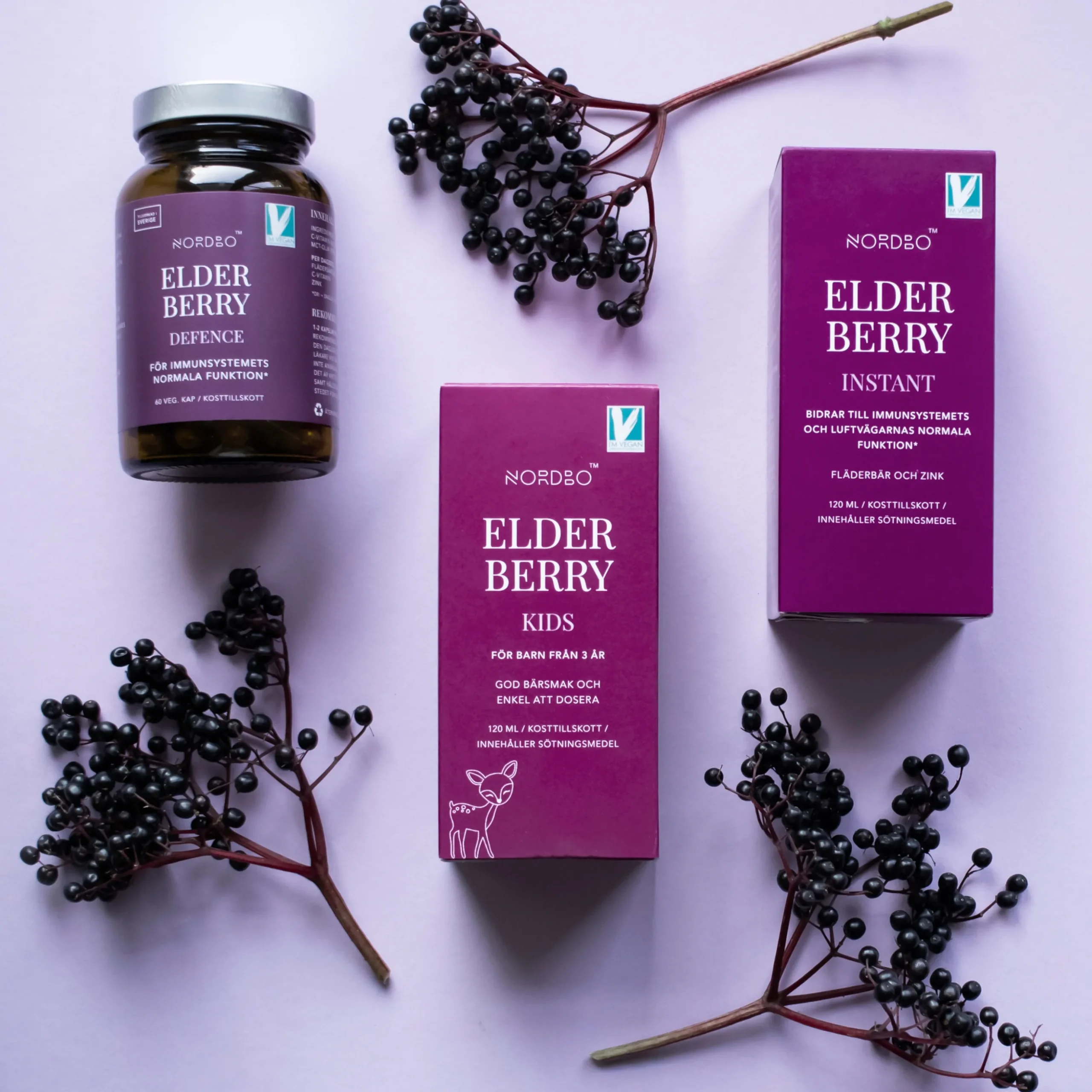 Elderberry Instant 120ml