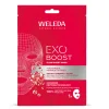 Exo Boost Glow Sheet Mask Pomegranate 20ml