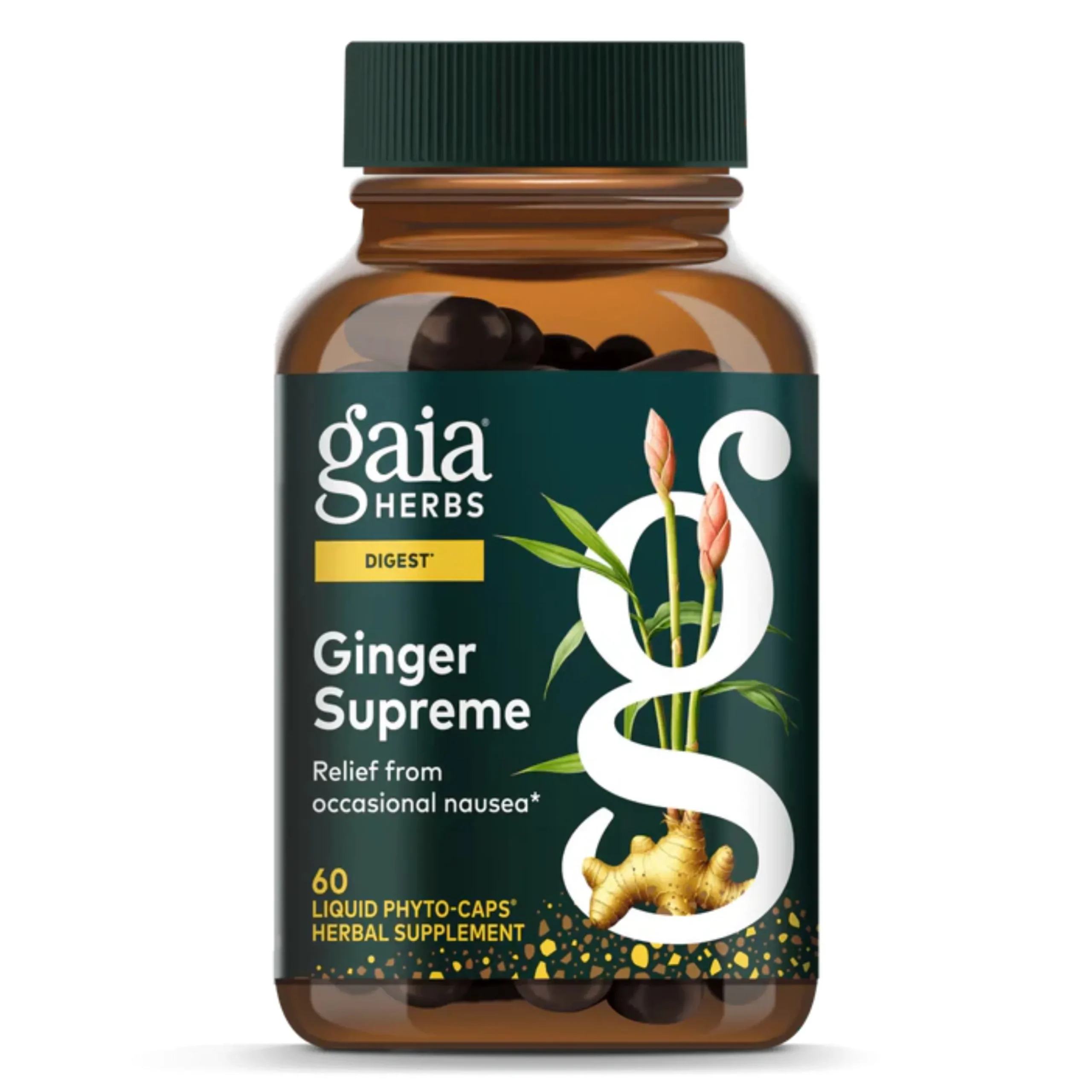 Ginger Supreme 60k