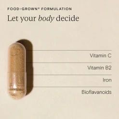 Iron Plus for All 30k