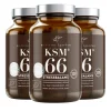 KSM66 Stressbalans Ekonomipack 3x120k