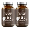 KSM66 Stressbalans Ekonomipack 2x120k