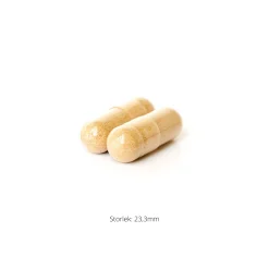 Nerve Support Complex 90k