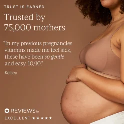 Pregnancy + New Mother Support 90k