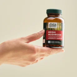 Reishi Mushroom 40k