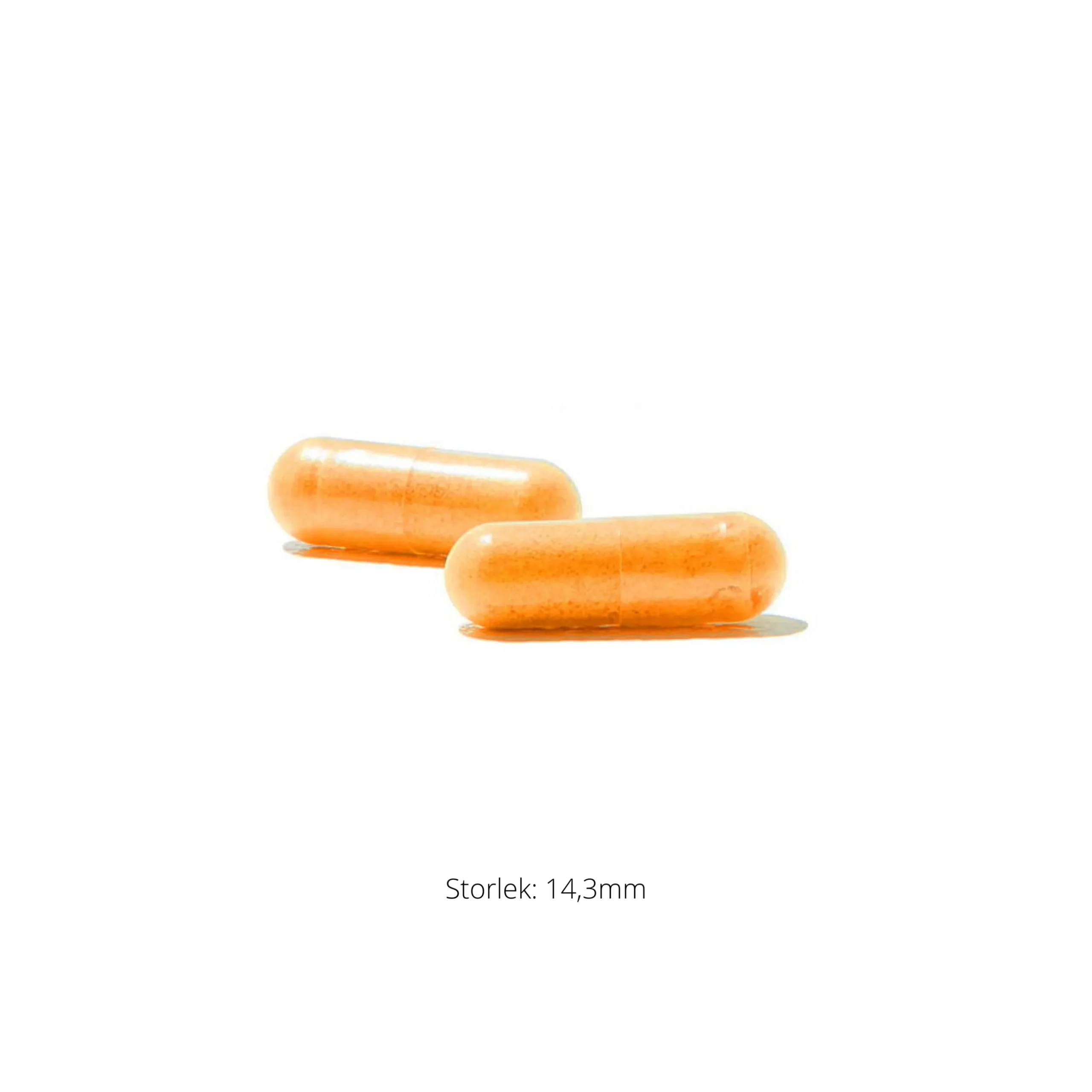 Riboflavin 5’-Phosphate 60k