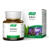 Salvia 120t