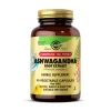 SFP Ashwagandha Root Extract 60k