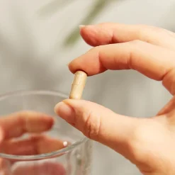 SFP Ashwagandha Root Extract 60k