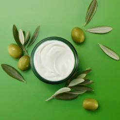 Skin Food Nourishing Day Cream 40ml