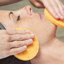 Tvättsvamp