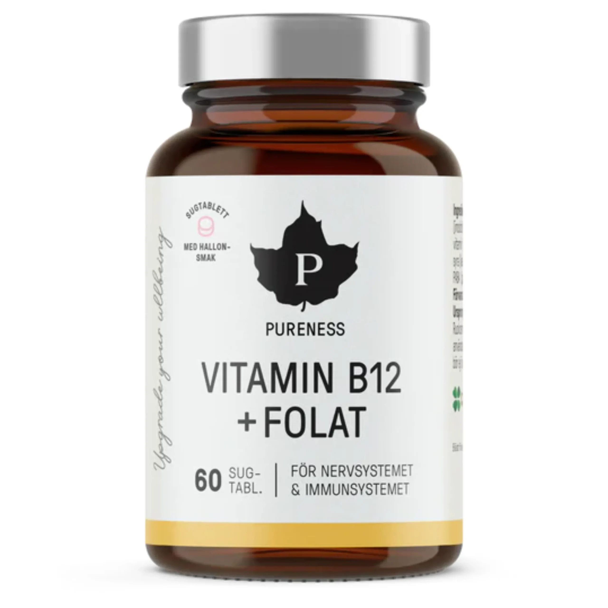 Vitamin B12 + Folat Hallon 60t
